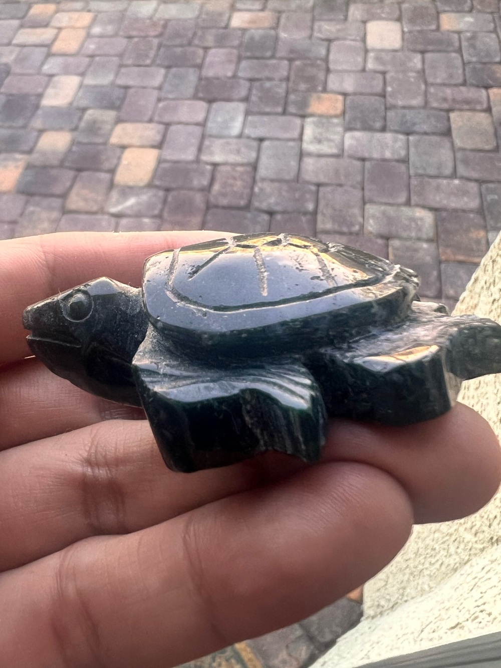Moss Agate turtle